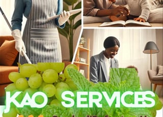 OFFRE DE FILLES DE MENAGES SUBSAHERIENNES .....