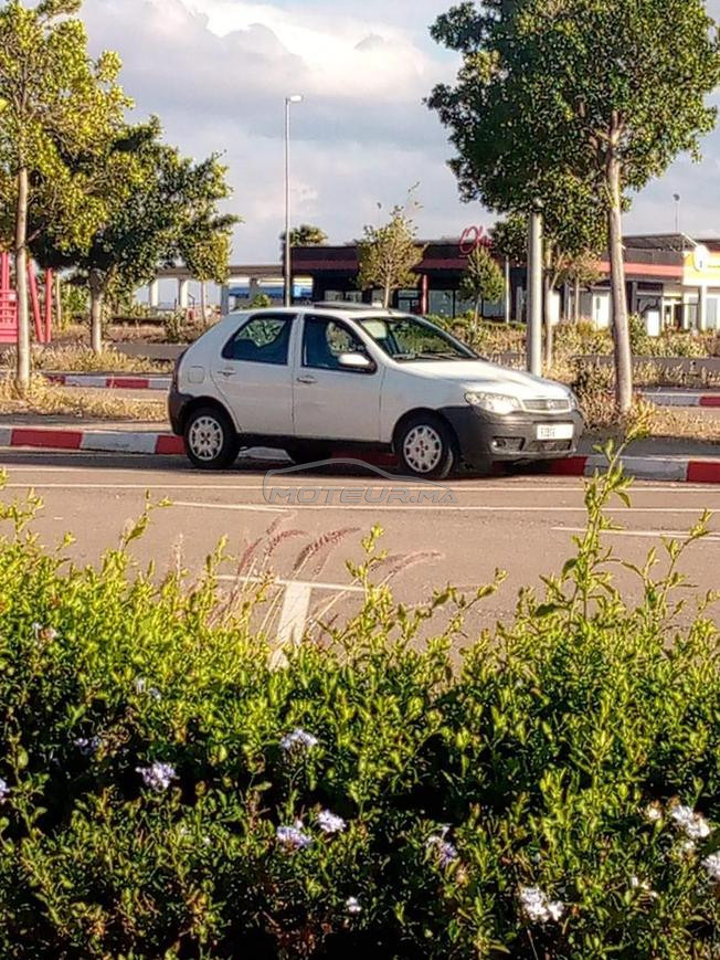 palio elx  diesel 