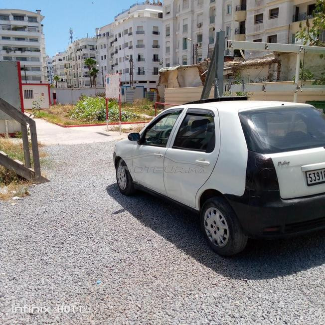 palio elx  diesel 