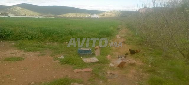 أرض للبيع قرب طريق افران  - 2