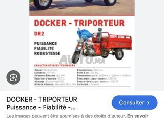 Location triporteur 