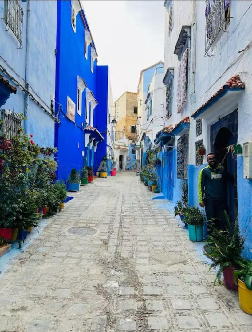 Appartement au centre de Chefchaouen - image 3