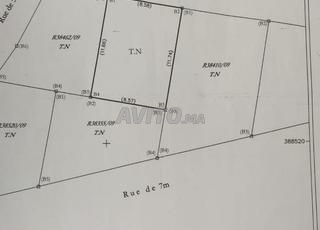 terrain nu à vendre 