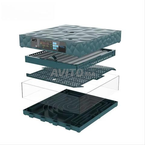 فقاسة من الحجم المتوسط 