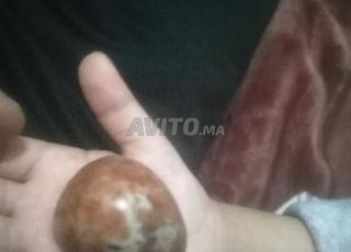 حجر نادر من العقيق المغربي 