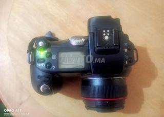 مراكش داوديات