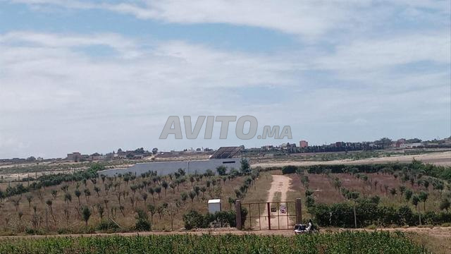 Grande ferme à 10 mn du centre de safi 