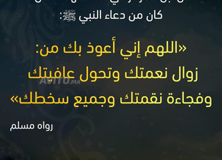 زيتون تيكيوين