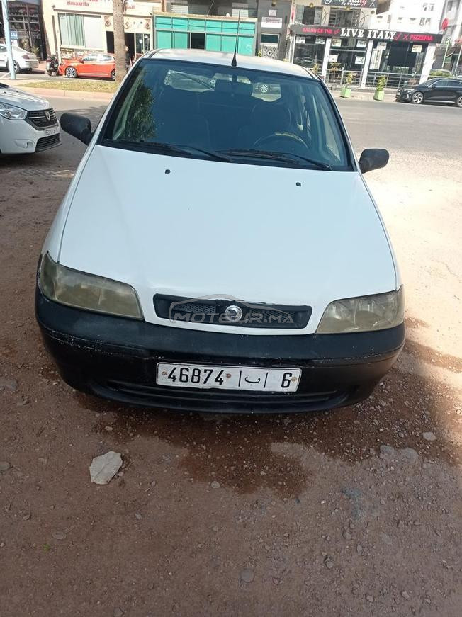 palio