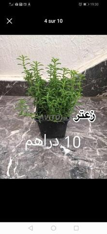 Appartement à vendre 100 m² à Salé