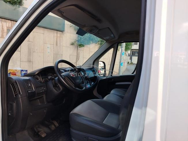 fiat Ducato 2021  