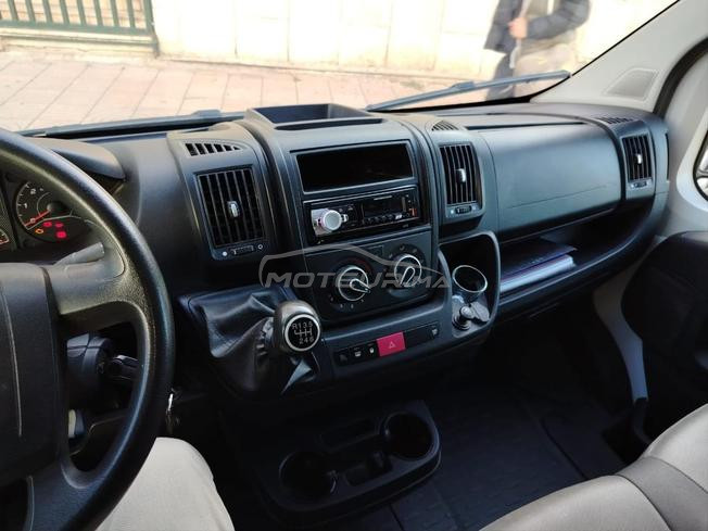 fiat Ducato 2021  