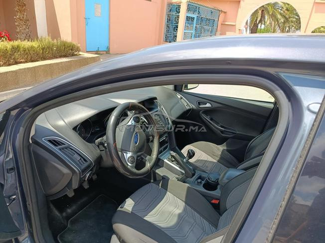focus sport tout option