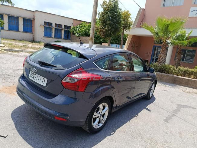 focus sport tout option