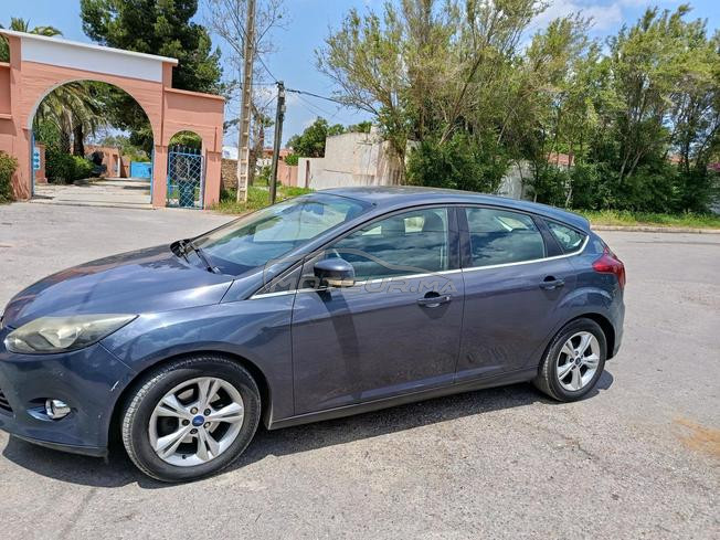 focus sport tout option