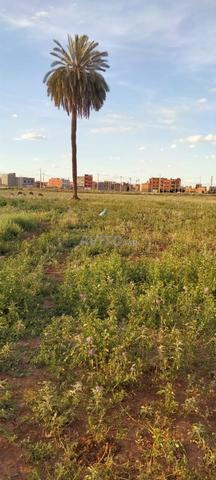 ارض محفظة للبيع لي مهتم مرحبا - 2