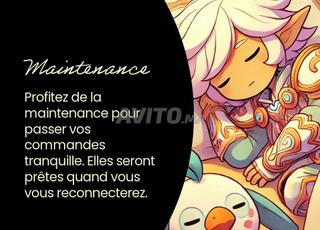 Jeux MMORPG/ Kamas, items, packs prêts à l’emploi