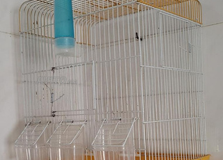  2 cages d'oiseaux 