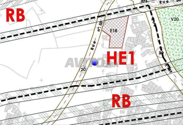 terrain a vendre douar belaguid همزة