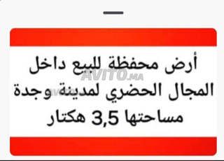 terrain à vendre 3,5 hectar