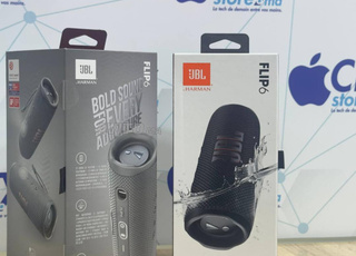 JBL Flip 6