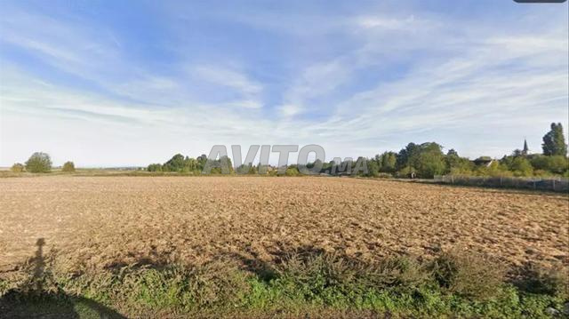 أرض بمساحة 1200 متر مربع قرب تجزئة ياسمينة