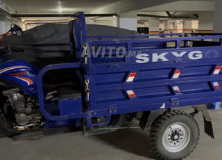 skygo triporteur