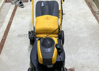 tondeuse a gazon a essence 