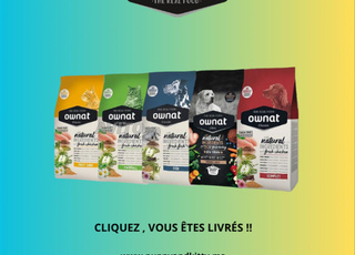 animalerie marrakech Puppy and kitty 