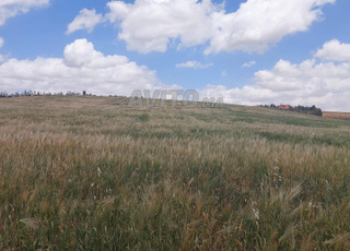 Ter titre 36000m2 tiflet ait wahhi