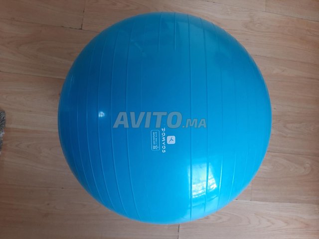 Gymball/fitness