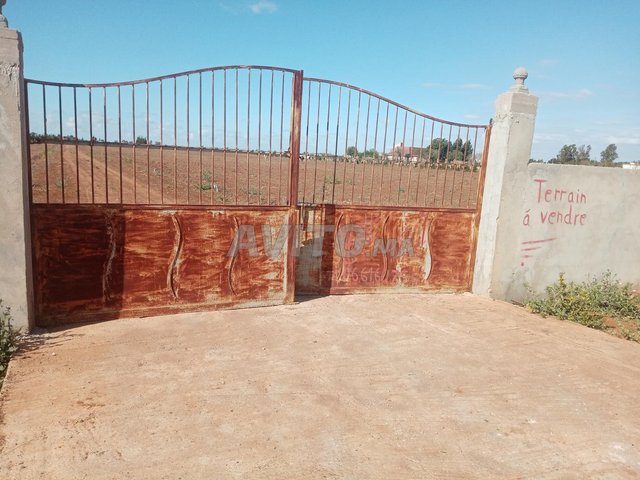 بين بنسليمان و جمعة فضلات على جنب طريق وطنية 