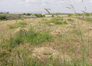 terrain route ourika 3 km a kariat ayoub 
