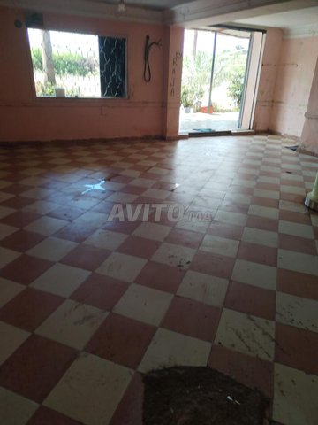 magazin alouer 80m2  plus la terrasse 