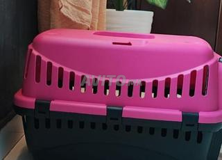 منزل قطة جميل 