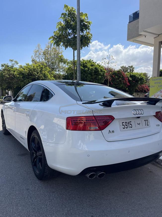 audi A5 sport back