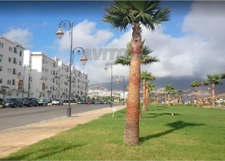 Bel Appartement meublé à Adoha Marjane Tétouan