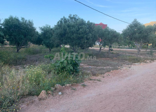 قطعة ارضية للبيع محفضة 415 متر، جهة اجدير