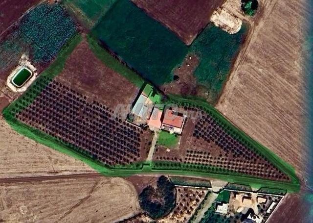 Ferme parfaite pour y vivre et démarrer un projet.