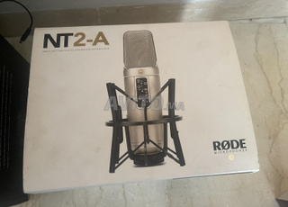 Micro Rode NT2A
