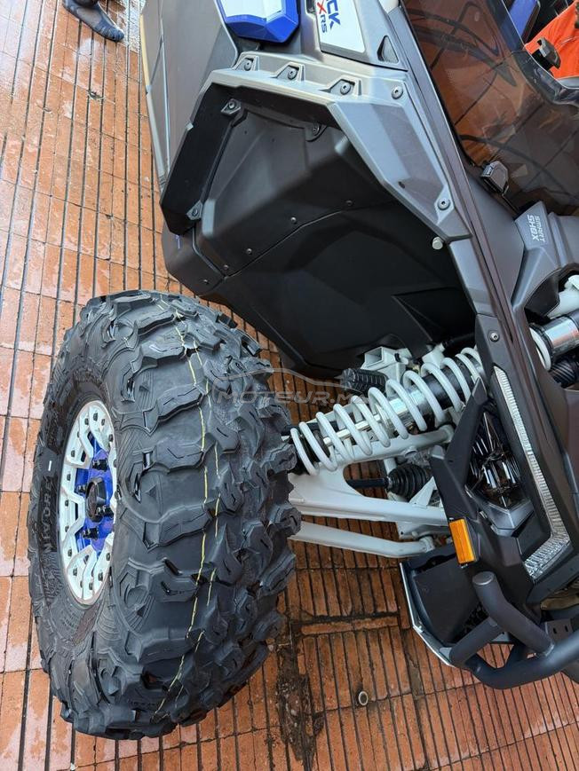 Canam Buggy XRS