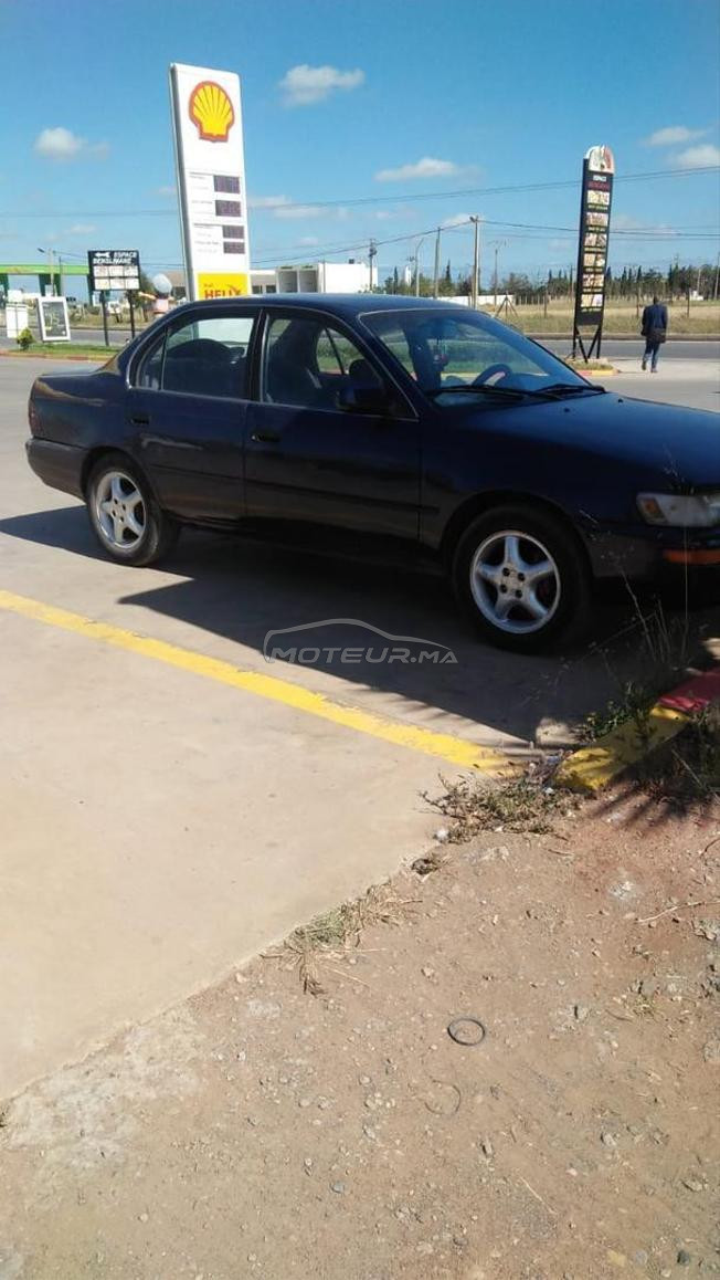 corolla