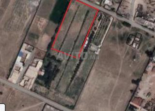 ارض محفضة للبيع