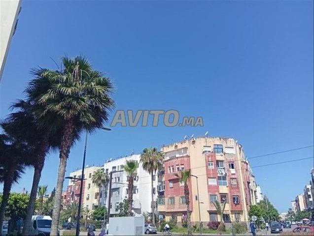 شقق مفروشة لـ 3 فتيات أو 3 رجال عازبين مشمسة