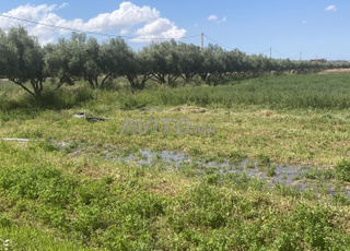 ferme à Angad Aéroport