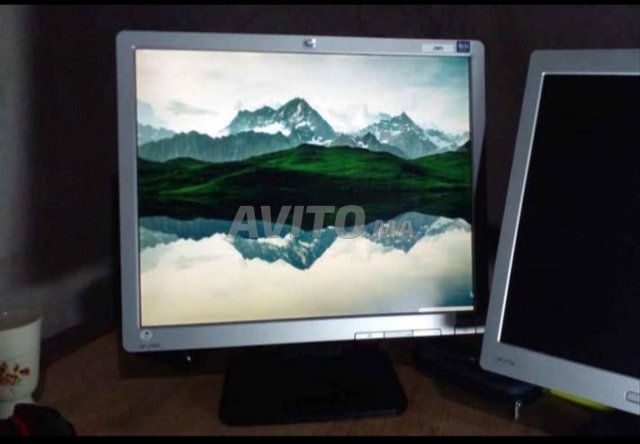 Ecran HP 19 pouce 