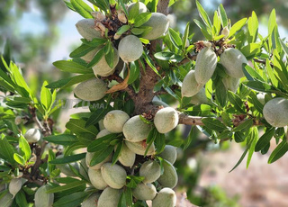 Ferme Agricole de 13Ha