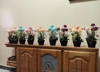 💐petit plant artificial 