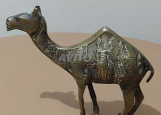 تحفة نادرة ـ جمل الأنوناكي