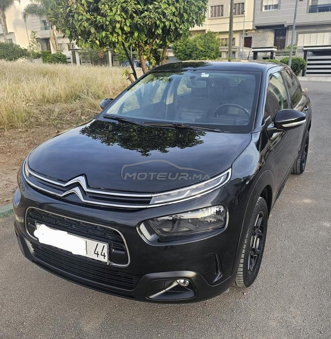 C4 cactus a vendre